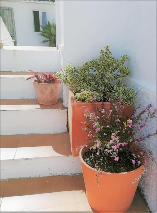 Cozy Apartment With Private Courtyard Barcarena 外观 照片