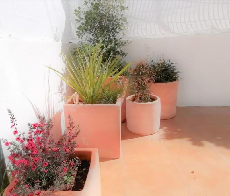 Cozy Apartment With Private Courtyard Barcarena 外观 照片